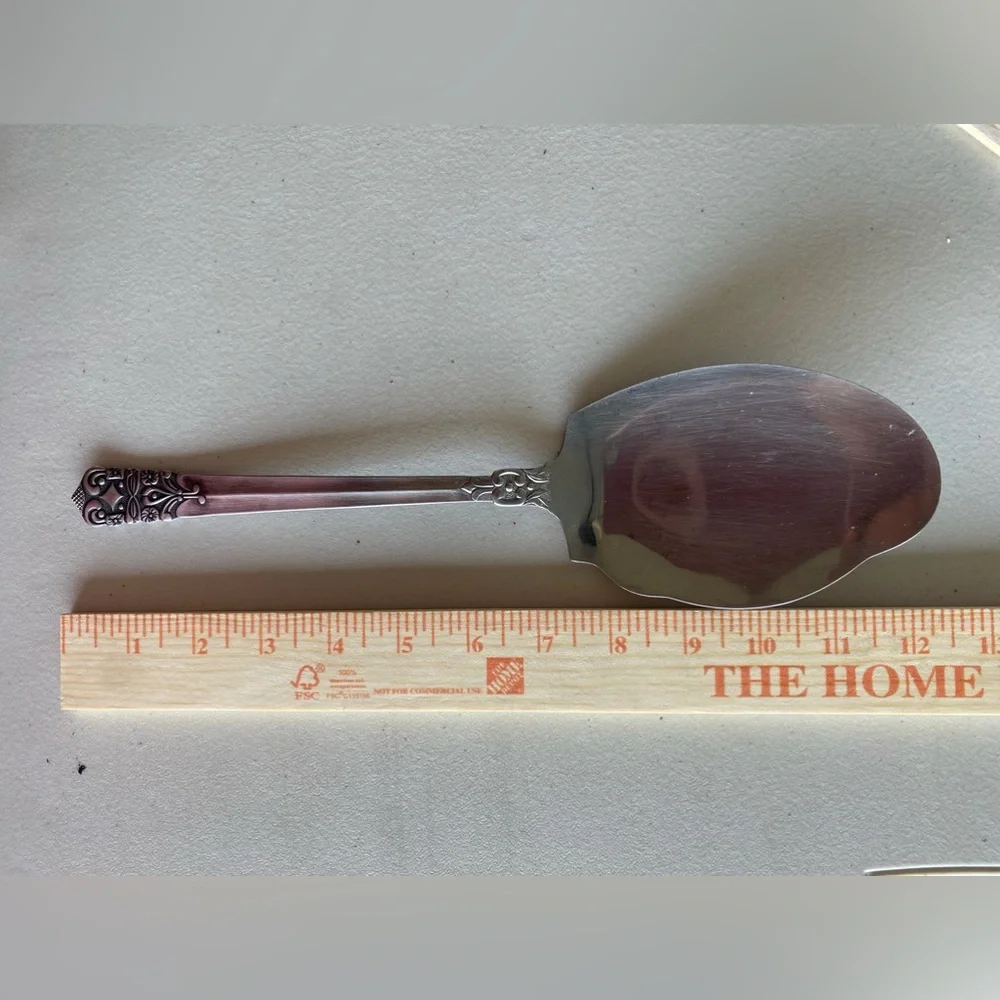 Elegant stainless steel serving spoon
